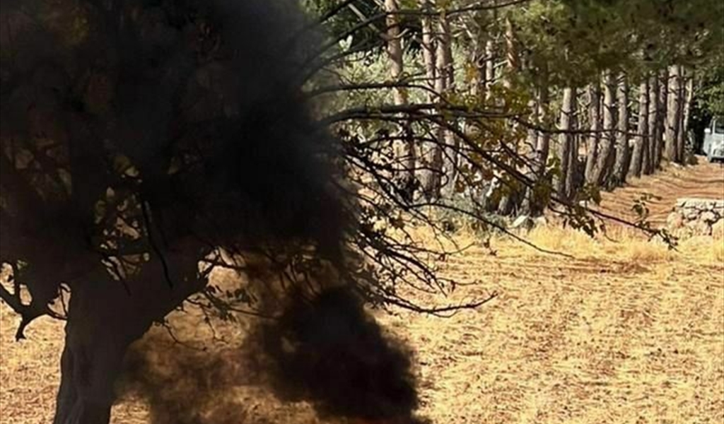 إصابتان في الغارة من مسيرة استهدفت سيارة في راشيا الوادي