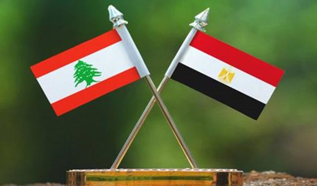 أفكار مصرية للحل قيد التبلور والقاهرة مستعدة للتوسط عبد العاطي لم يخف قلق بلاده من تصعيد إسرائيلي واسع