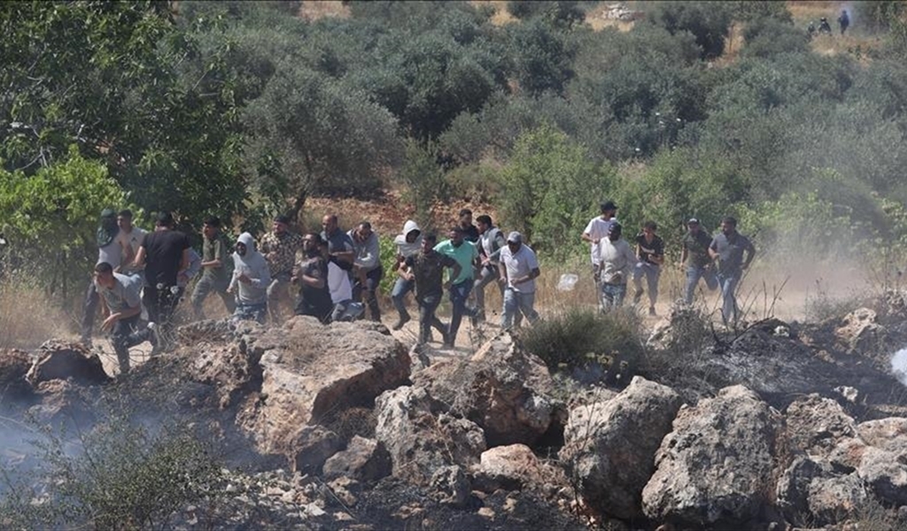 المستوطنون يعتدون على الأراضي في الضفة الغربية