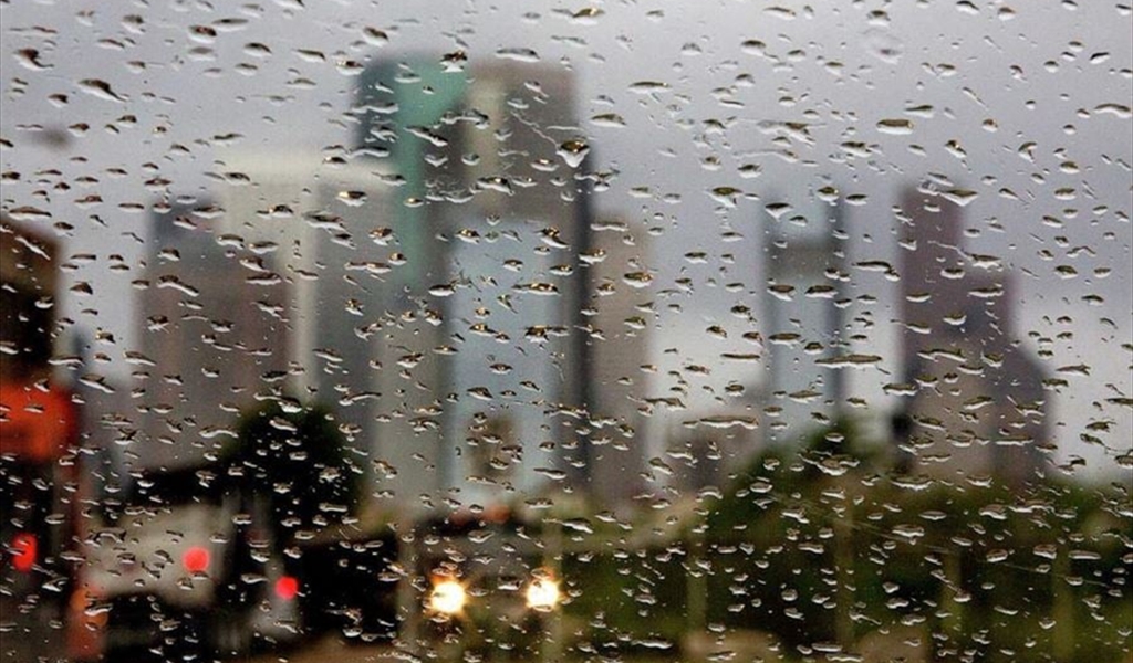 «هجنة» الشتاء!