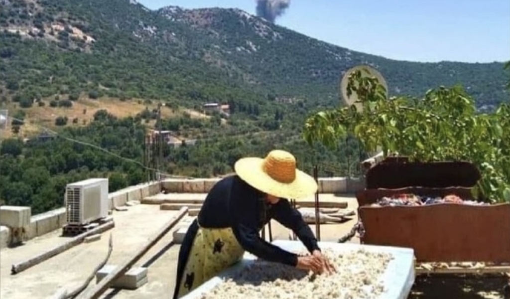 "منجفّف اللبن لنرفع الوطن”… "جمهورية الكشك اللبنانية