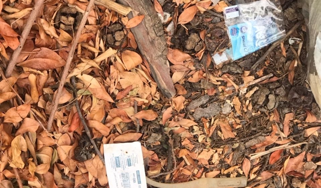 جبانة صيدا القديمة تتحوَّل إلى بؤرة للمخدرات: من يحمي المدينة؟