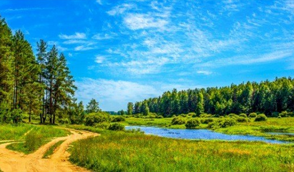 ثنائية الطبيعة