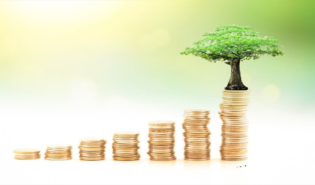 التنمية الوقفية