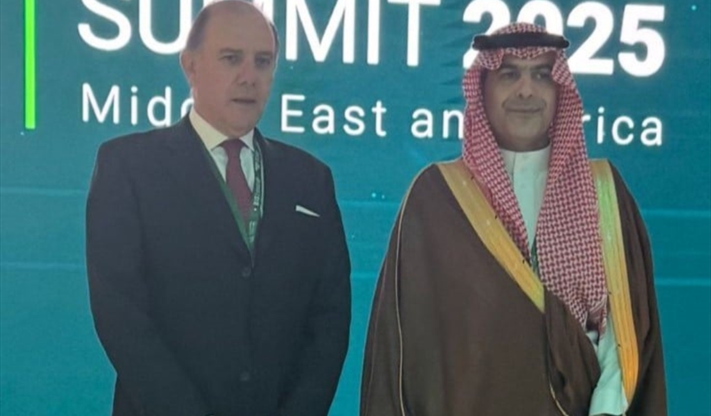 سعيد مع نظيره السعودي