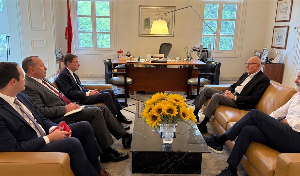 هيل خلال زيارته الرئيس تمام سلام بحضور نجله صائب