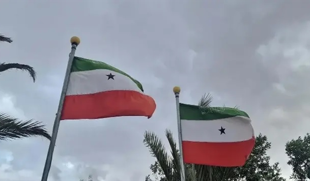 التعاون الخليجي ومصر وتركيا تدين إعتراف إسرائيل بإقليم «أرض الصومال»