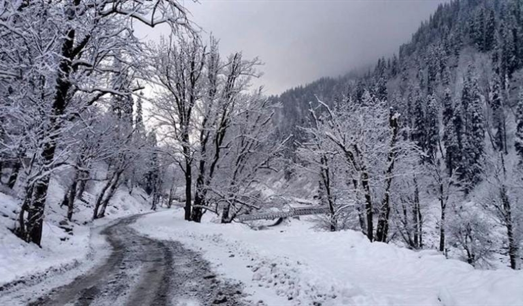 علقوا وسط الثلوج!