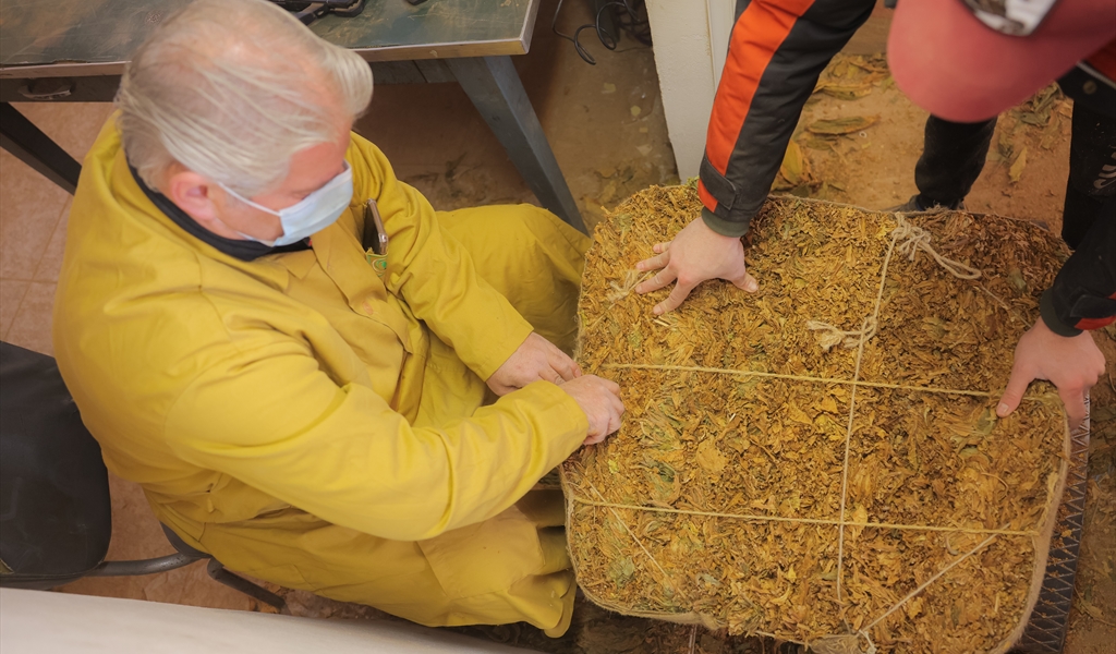 خلال تسليم المحاصيل