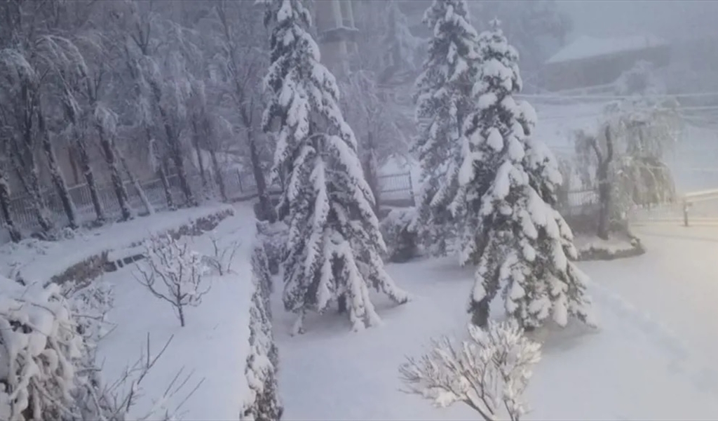 الثلوح تُغطّي إهدن شمالي لبنان