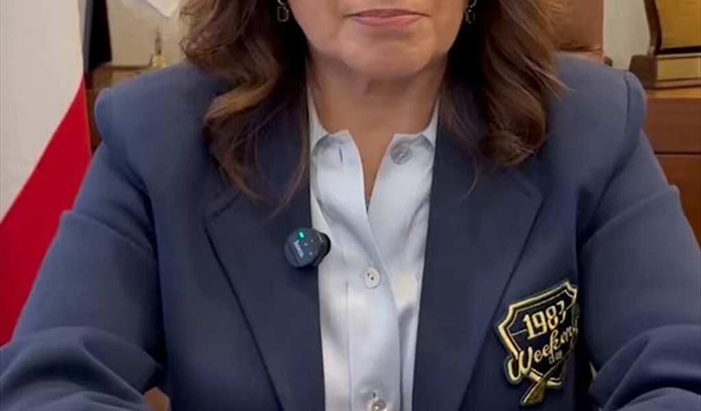 حنين السيد