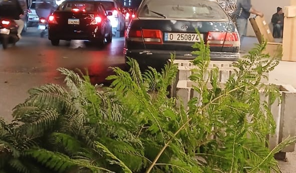 بقايا أغصان الأشجار المحطمة في الطريق
