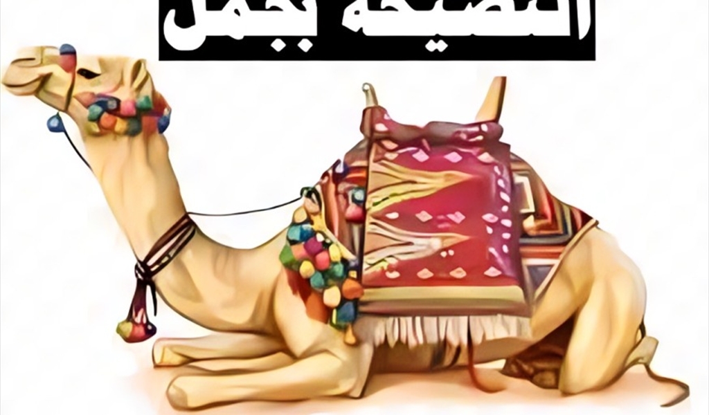 النصيحة بجمل!