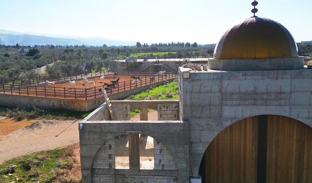 بين دولة القانون ودولة النفوذ: أين يُقتل الاقتصاد؟