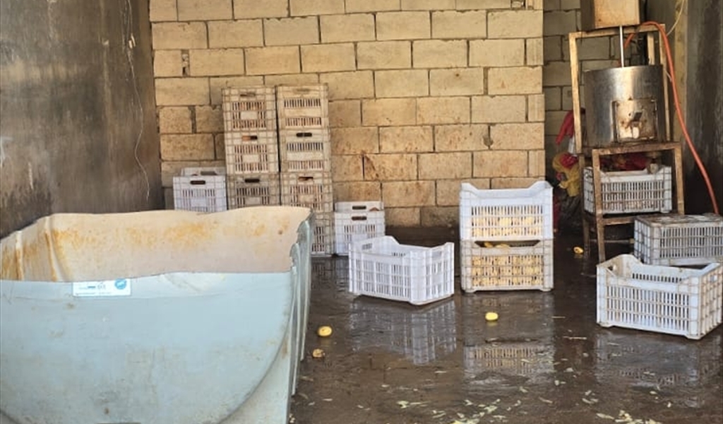 جنون الفساد تابع... توم صُنع في خيم النازحين!