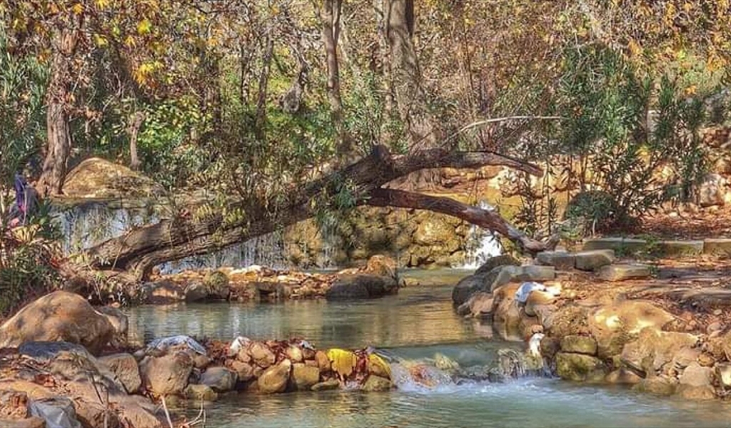 المبادئ البيئية في الأمثال اللبنانية (1/2)