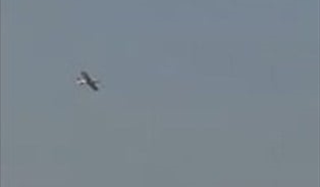 رشّ مواد سامّة... وحالة قلق في الجنوب!