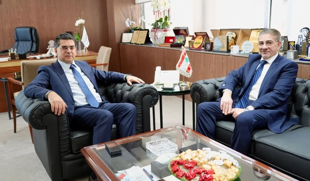 الوزير مرقص مستقبلاً الدكتور ماجد منيمنة