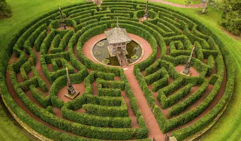 المتاهة: الإنسان بين ظلال العقل وأنوار الأمومة.. قراءة نفسية فلسفية في رواية د. لطيفة الحاج