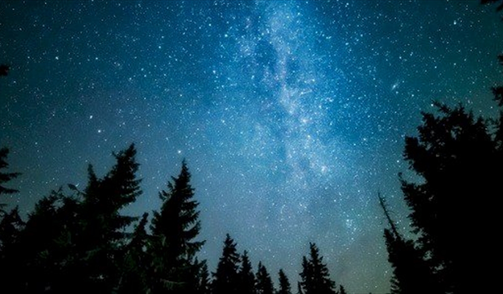 بين الأرض والسماء (١)