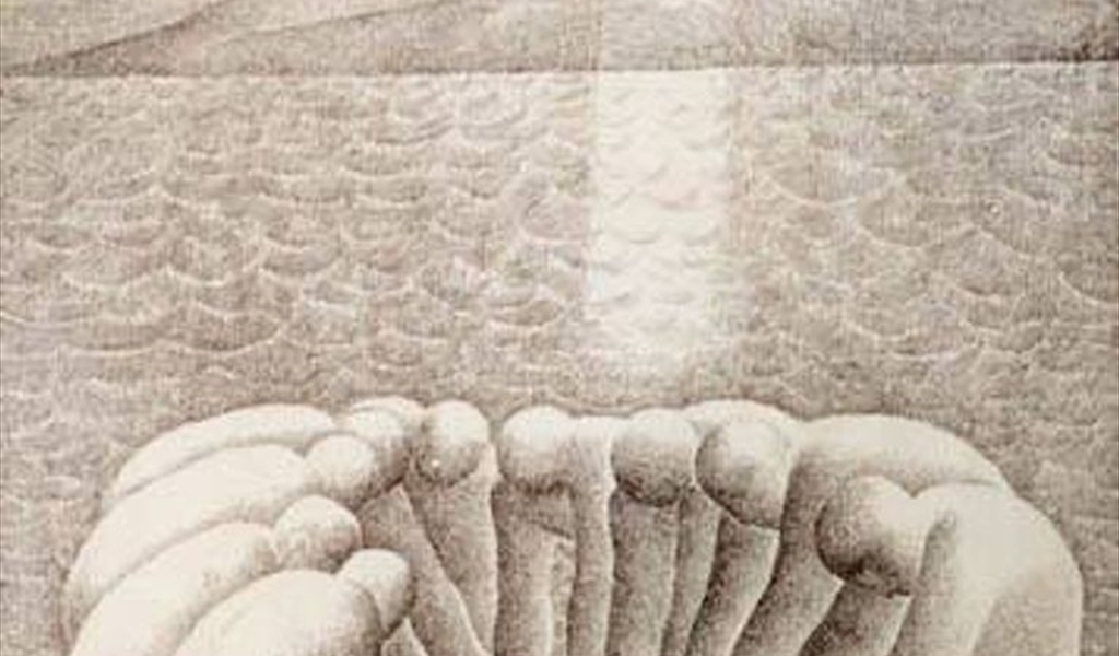 السرد البصري المكتنز في لوحات جميل شفيق