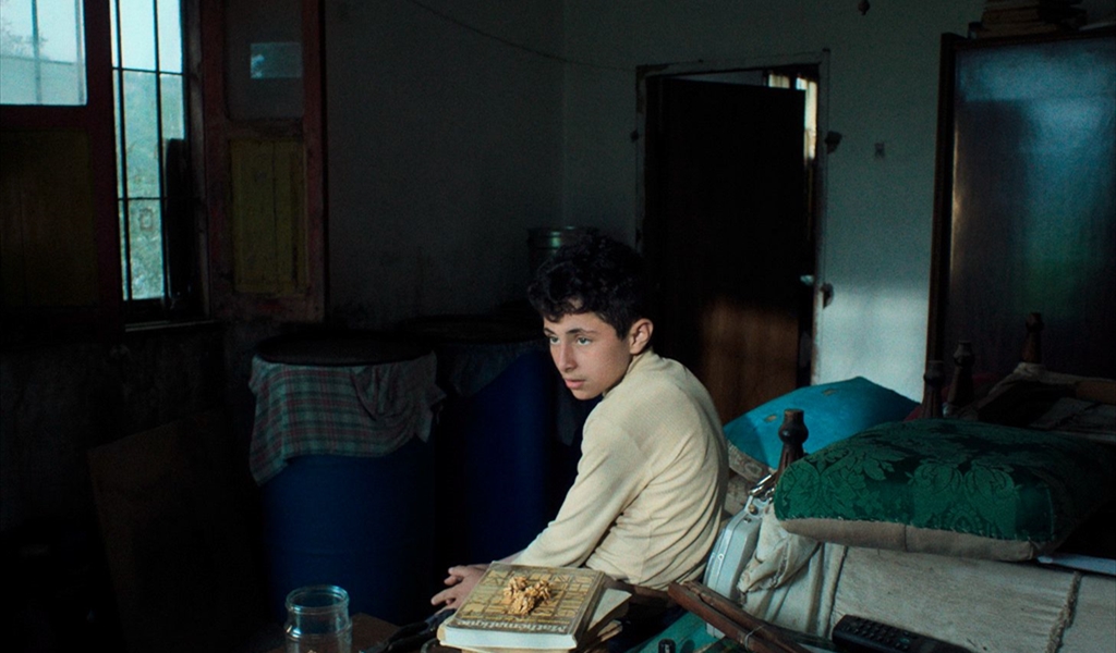 ملصق الفيلم الفائز