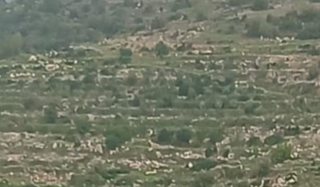 غارة إسرائيلية على منطقة الشعرة شرق لبنان