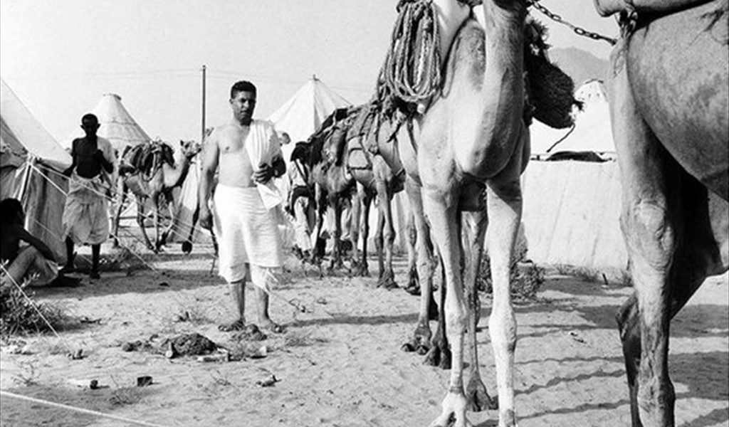 «مواكب النور في دروب الهلاك: ذاكرة الحج قديماً» (٢)