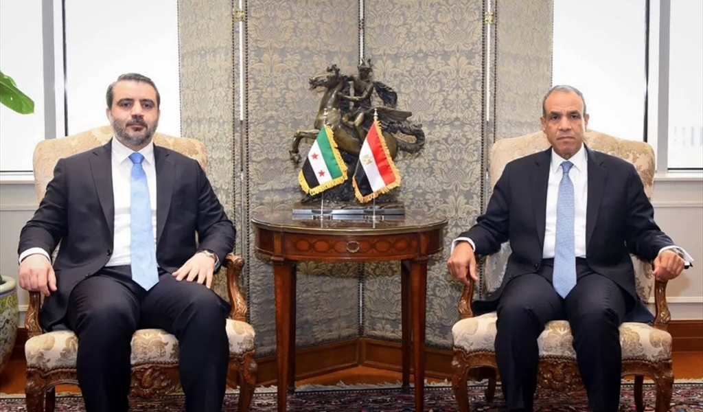 وزير الخارجية المصري مع نظيره السوري