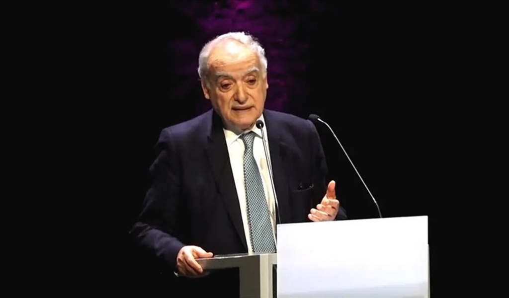 الوزير سلامة يتحدث في المهرجان