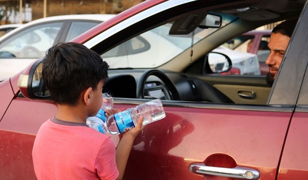 آفة قد تتكرر!...
