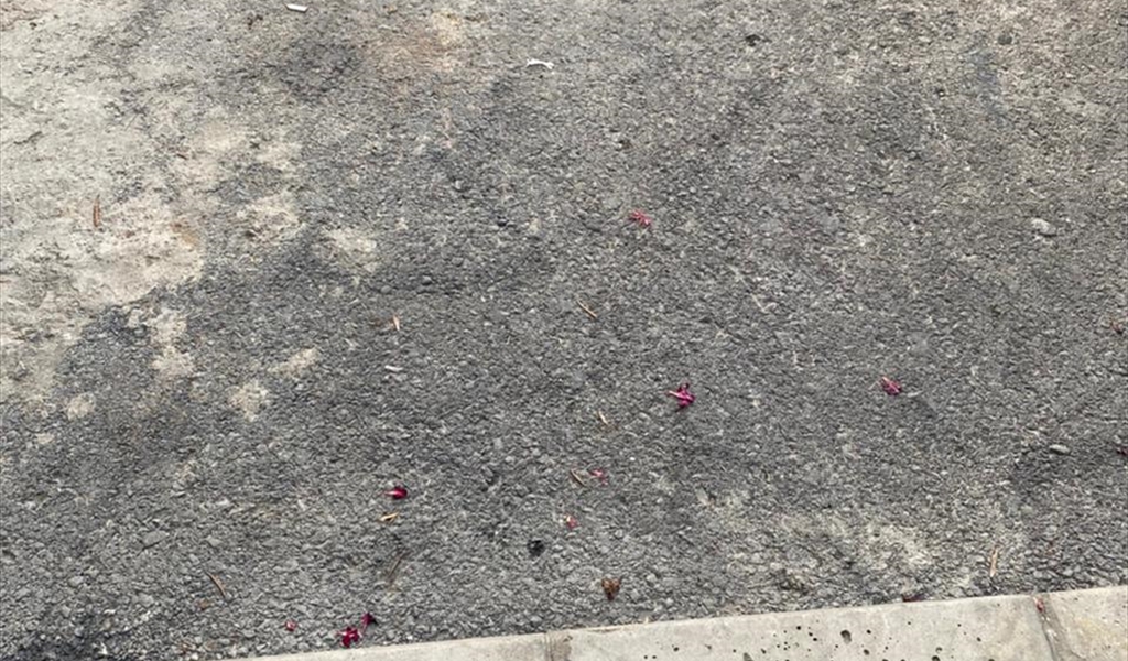نكافىء  أم نعاقب؟