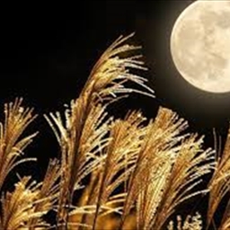 Get Ready for the Last Supermoon of 2023: The Harvest Moon!