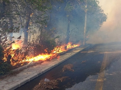 قرب قصر الشعب... حريق يلف سماء دمشق