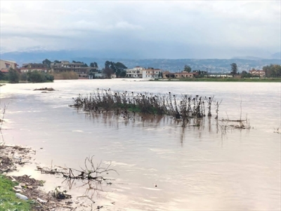 الأبيض يزيِّن جبال لبنان وسواحله: مواسم خير واعدة