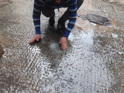 مواطن يجمح حبات البرد في بيروت (محمود يوسف)