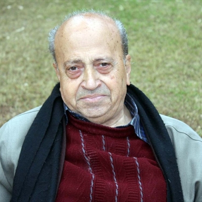 فاروق الجمال