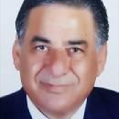 نبيل عمرو
