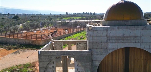 بين دولة القانون ودولة النفوذ: أين يُقتل الاقتصاد؟