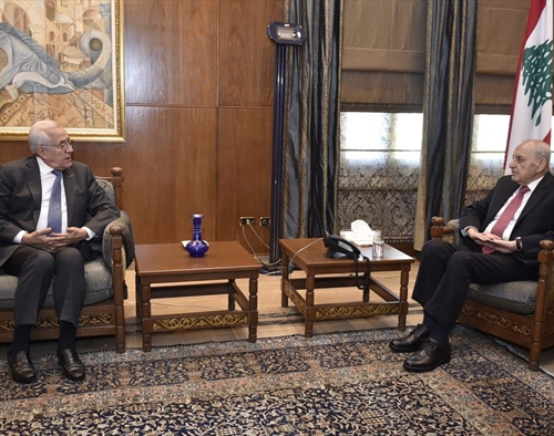 بري عرض مع سليمان وروداكوف المستجدات السياسية