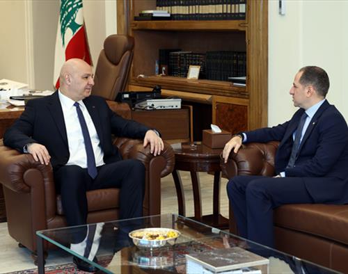 عون يعقد سلسلة لقاءات سياسية ودبلوماسية وتعليمية في بعبدا