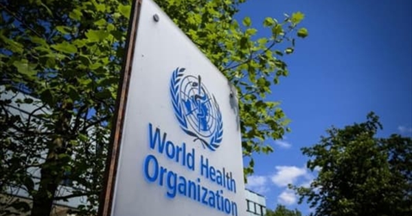 World Health Organization warning about children’s immunity |  Health