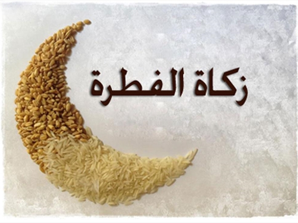 زكاة الفطر.. أحكامها وأهدافها