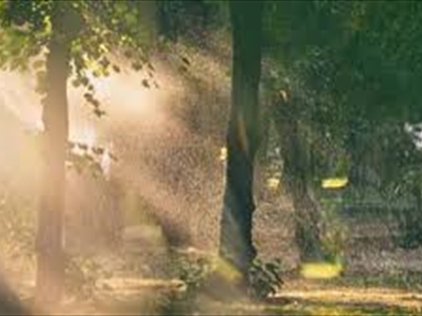 "صيف وشتي" خلال يومين..!