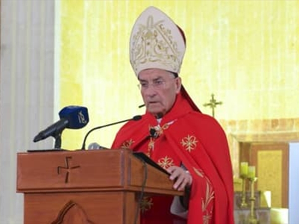 "مفردات غريبة عن قاموسنا"... ماذا قال الراعي عن النظام؟