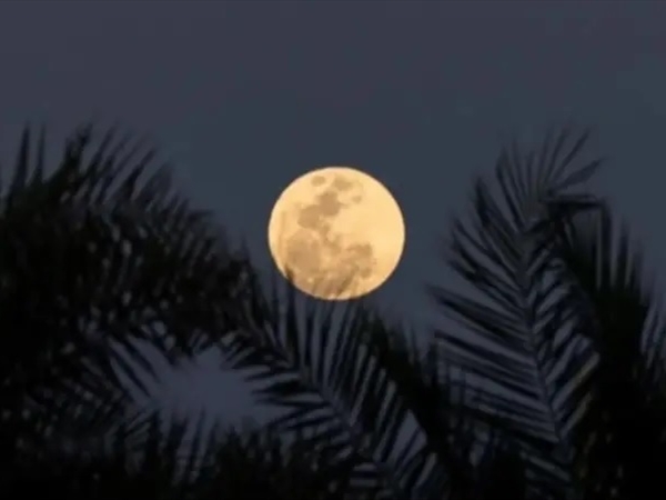 القمر يضيء السماء بلون برتقالي