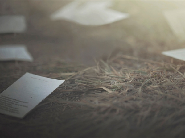 في مُدخلات العام 2025 ومُخرجاته