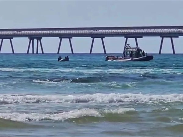 بالفيديو.. قرش يهاجم سباحاً إسرائيلياً أمام عدسات الكاميرا