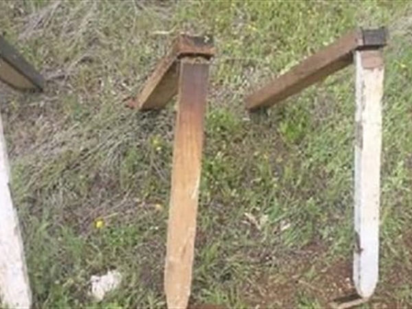 تحرك سياسي وميداني لفرض حصرية السلاح