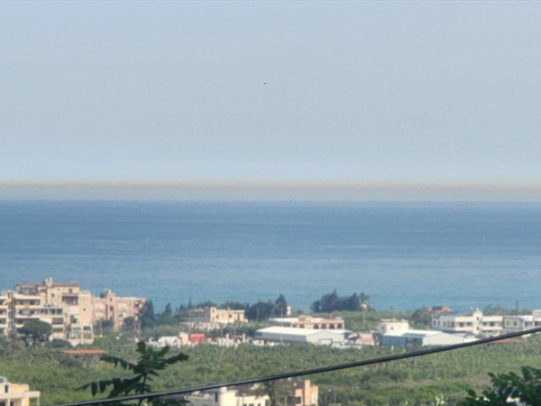 بالصورة.. العاصفة الرملية تقترب!